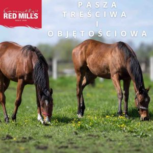 pasza treściwa i objętościowa