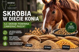 Skrobia w diecie konia – owies, jęczmień, kukurydza i pszenica